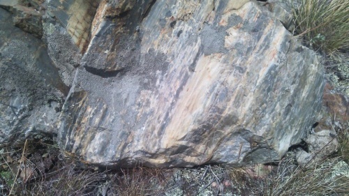 Гигантские зелёные валуны для ландшафтного дизайна весом более 5 тонн купить в Катав-Ивановске