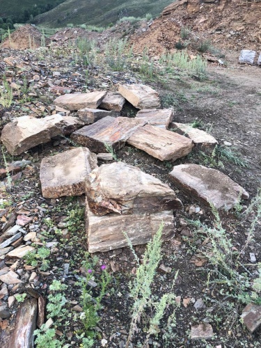 Плитняк кора дерева 50-100мм для пошаговых дорожек купить в Катав-Ивановске